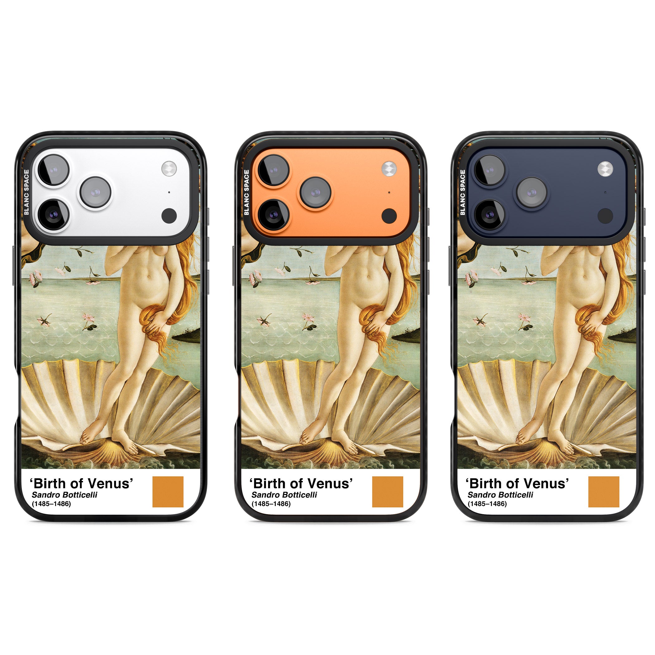The Birth Of Venus iPhone 17 Pro Impact Black Phone Case APT Impact Protection