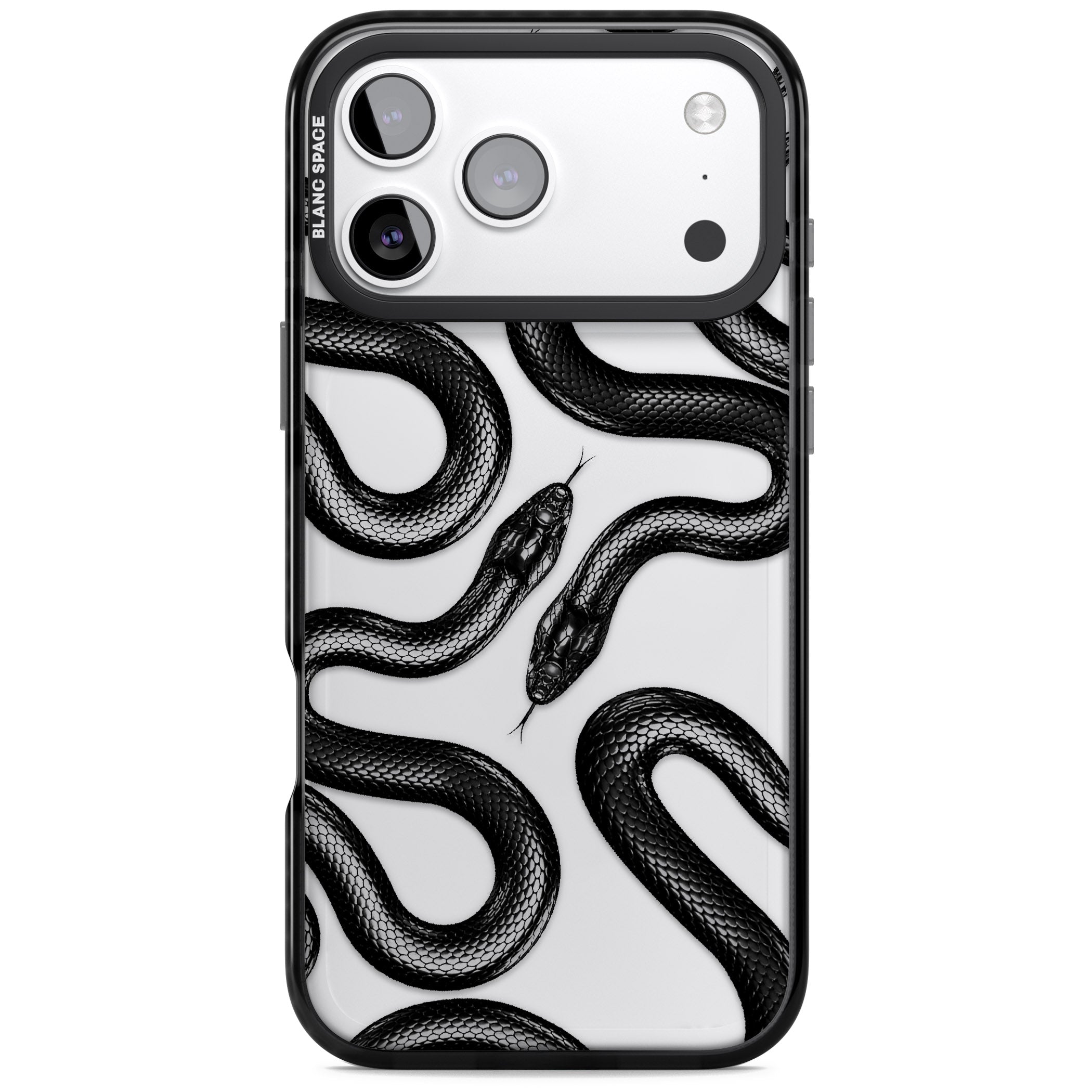 Black Kingsnake iPhone 17 Pro Max Impact Black Phone Case