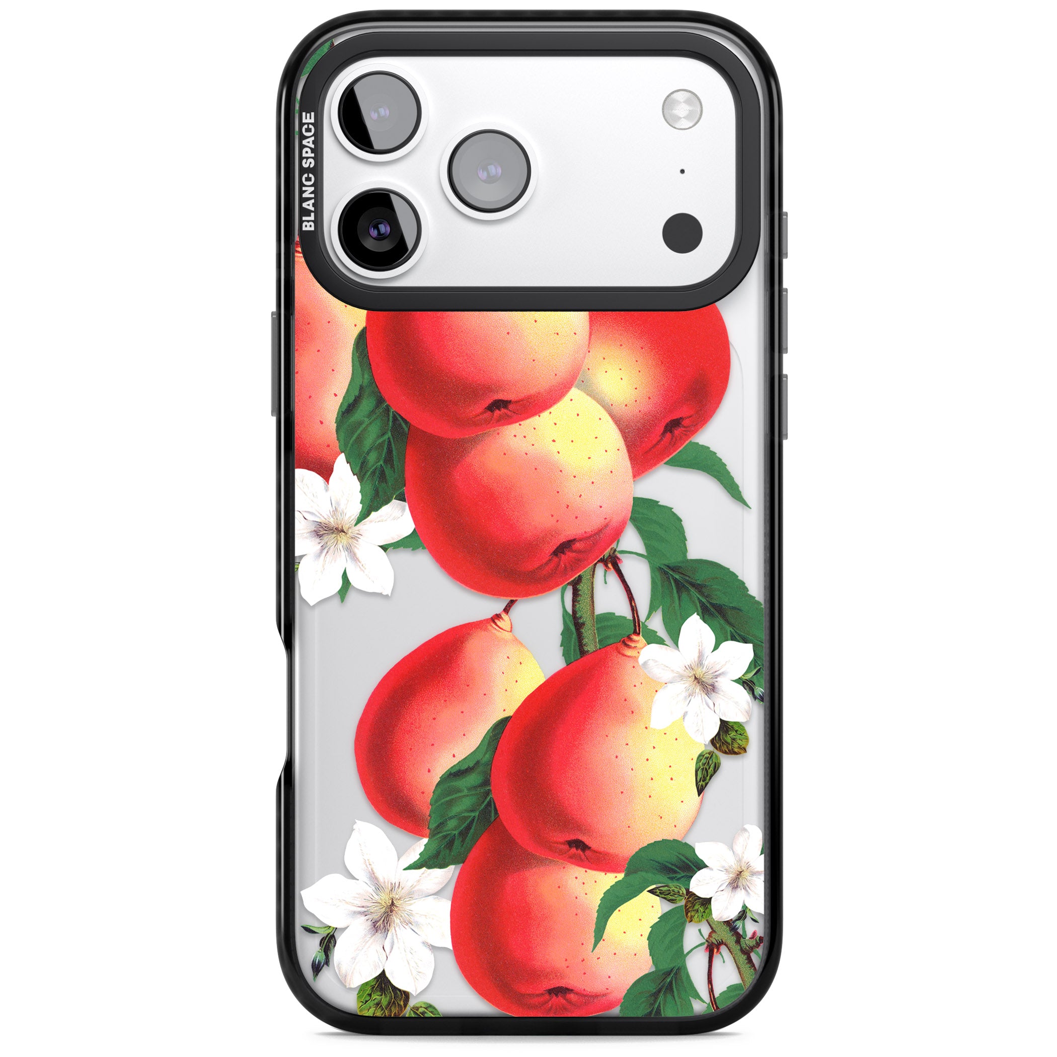 Vintage Painted Peaches iPhone 17 Pro Max Impact Black Phone Case