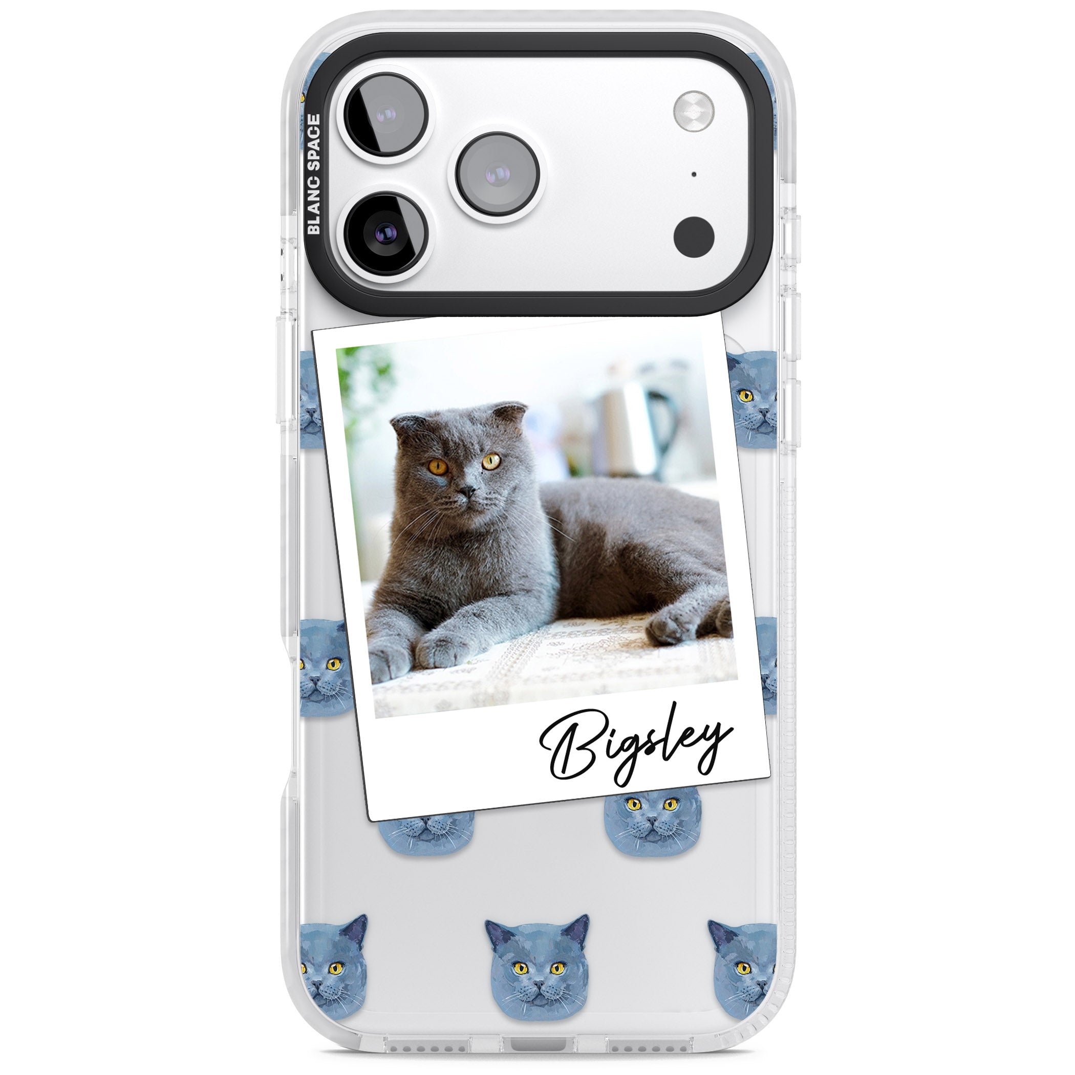 Personalised English Blue Cat Photo iPhone 17 Pro Max Impact Clear Phone Case