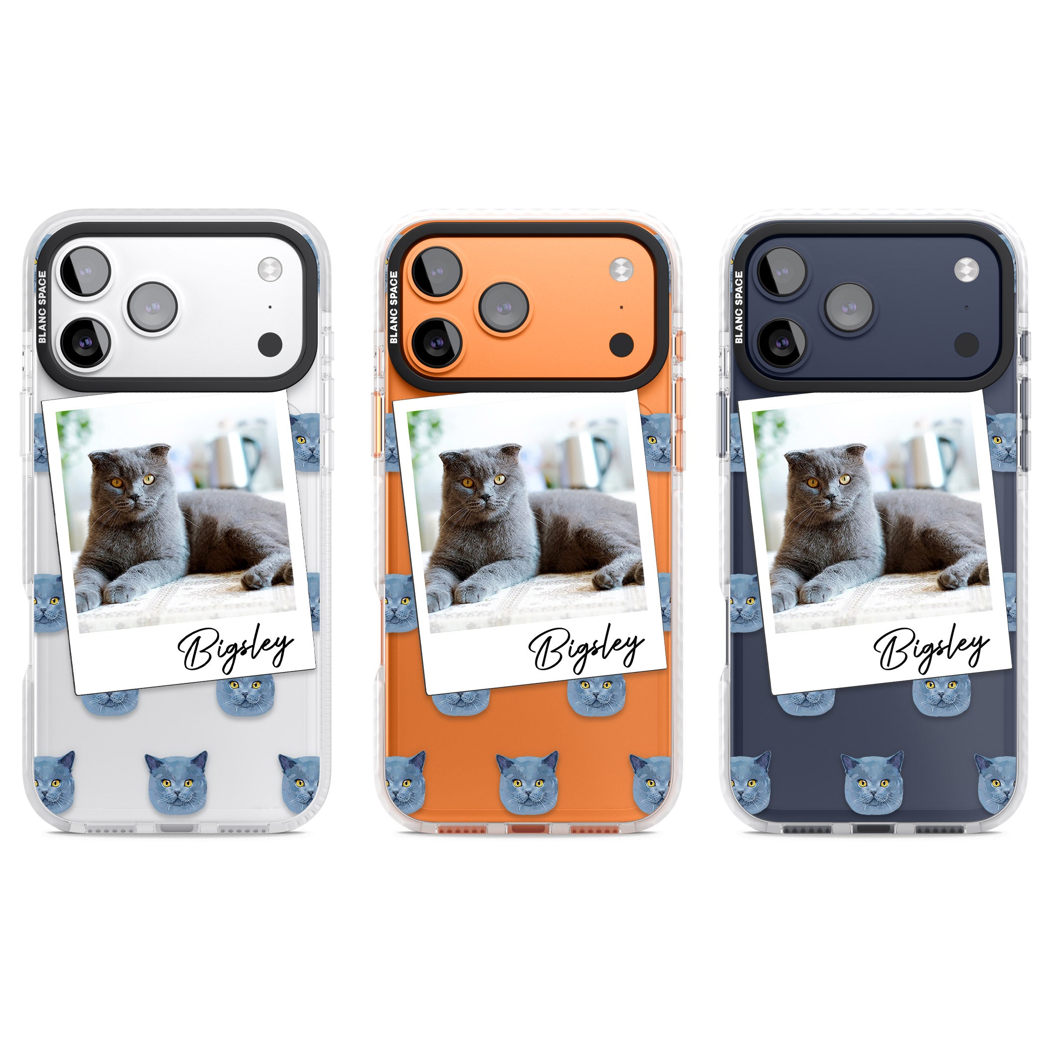 Personalised English Blue Cat Photo iPhone 17 Pro Impact Clear Phone Case APT Impact Protection