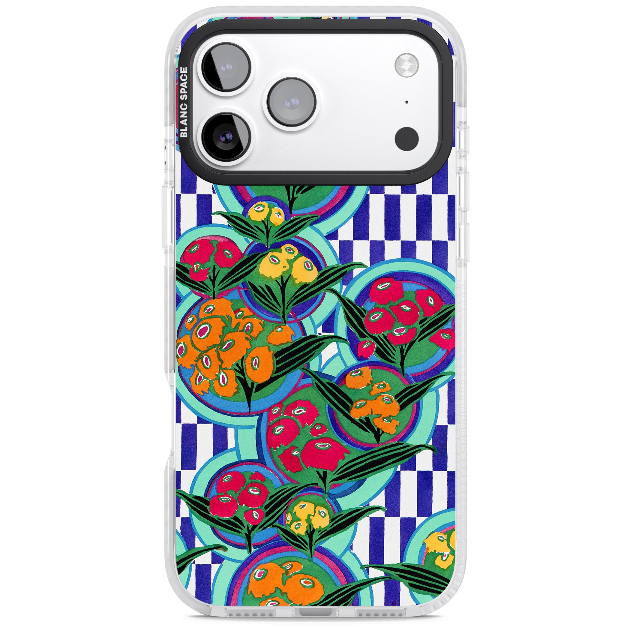 Vintage Fruit Plates iPhone 17 Pro Max Impact Clear Phone Case