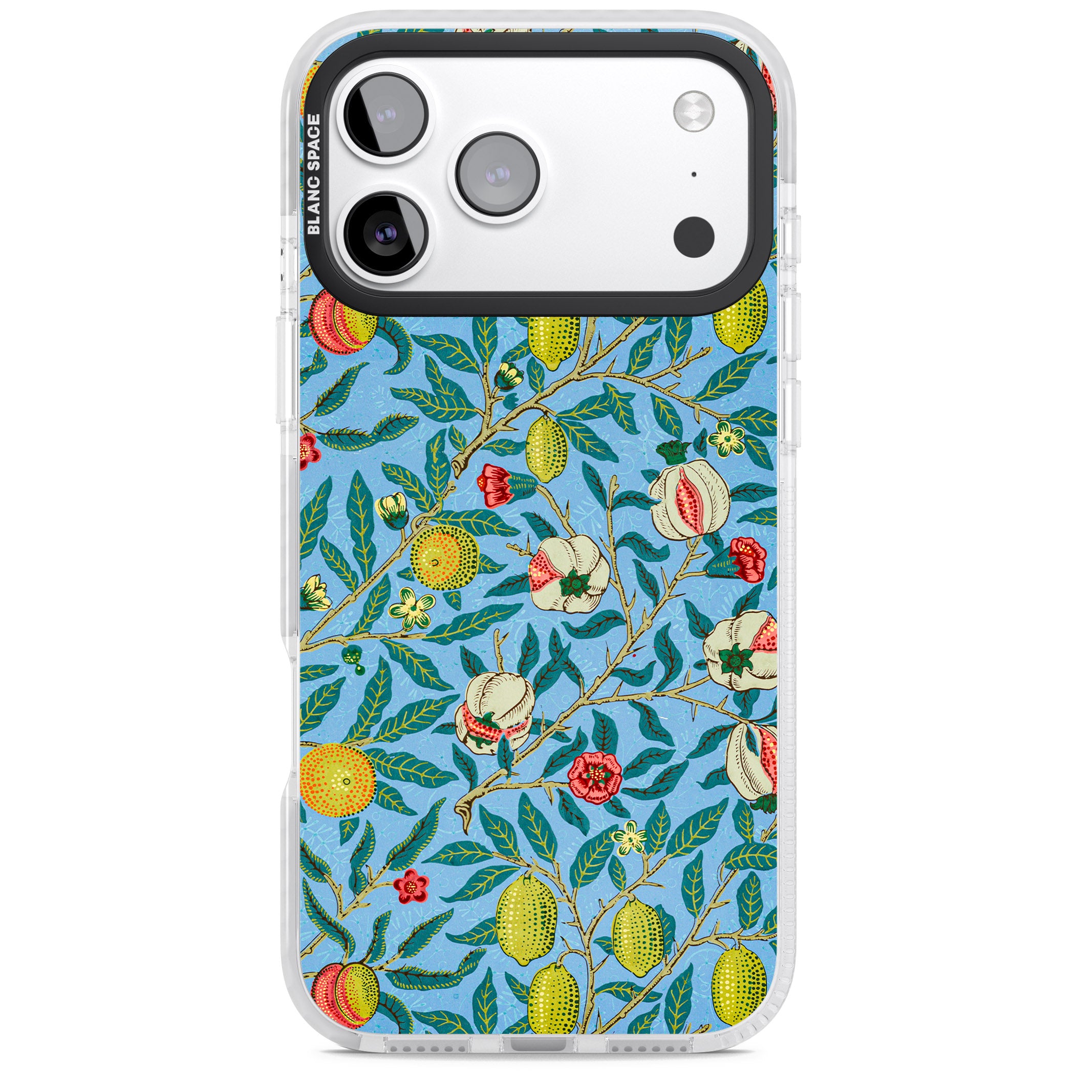 Vintage Fruits iPhone 17 Pro Max Impact Clear Phone Case