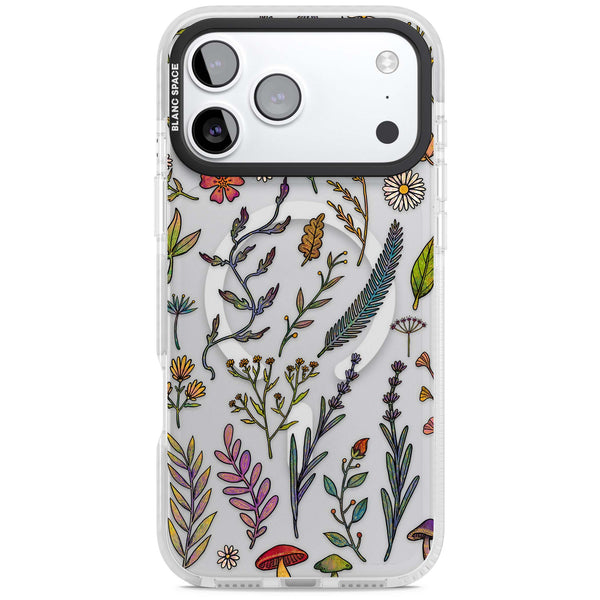 Autumn Wildflowers