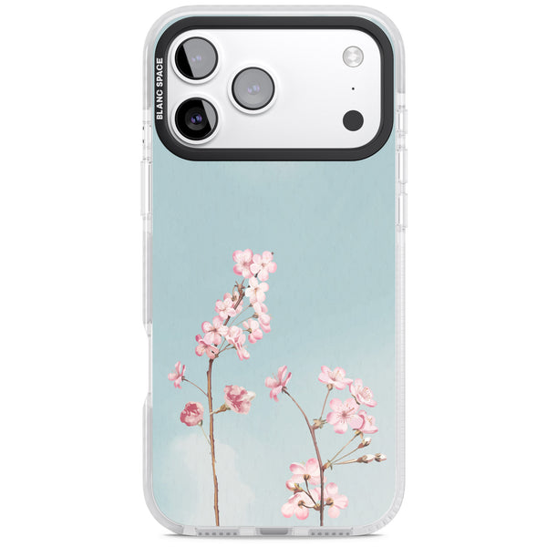 Blossom Flower Sky