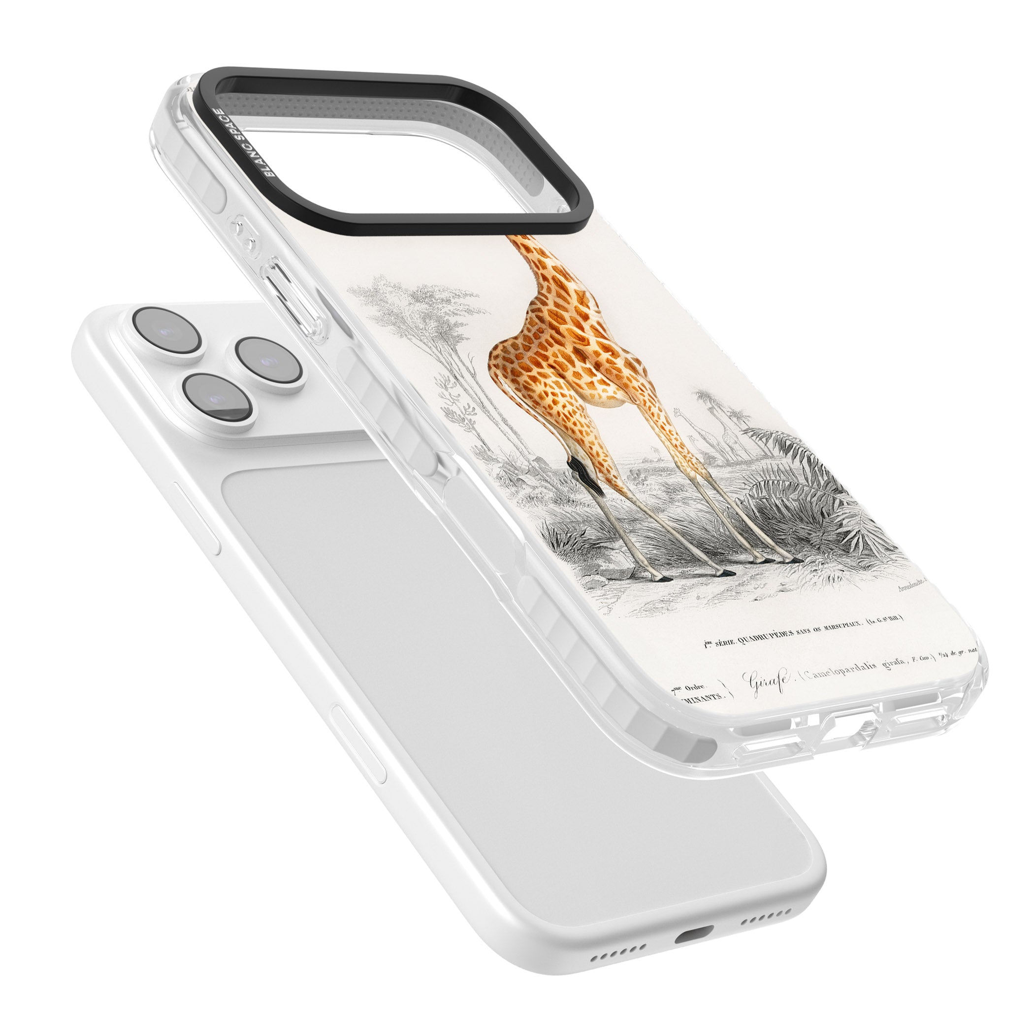 Vintage Giraffe Art iPhone 17 Pro Max Impact Pro Clear Phone Case Colours