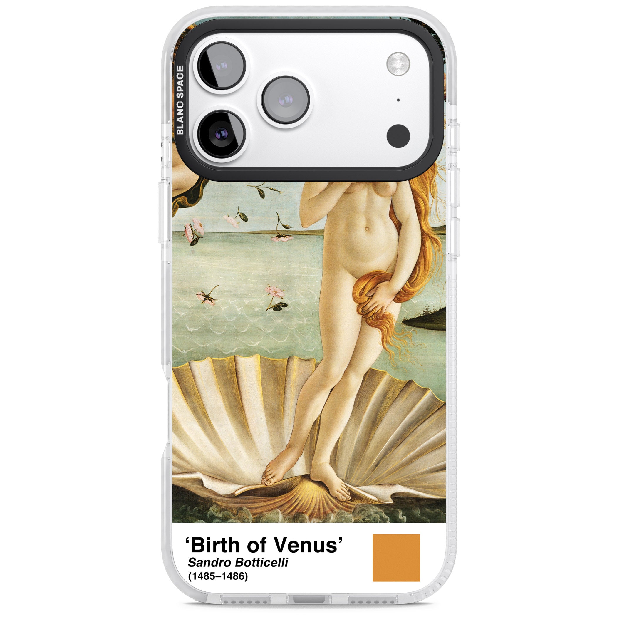 The Birth Of Venus iPhone 17 Pro Max Impact Pro Clear Phone Case