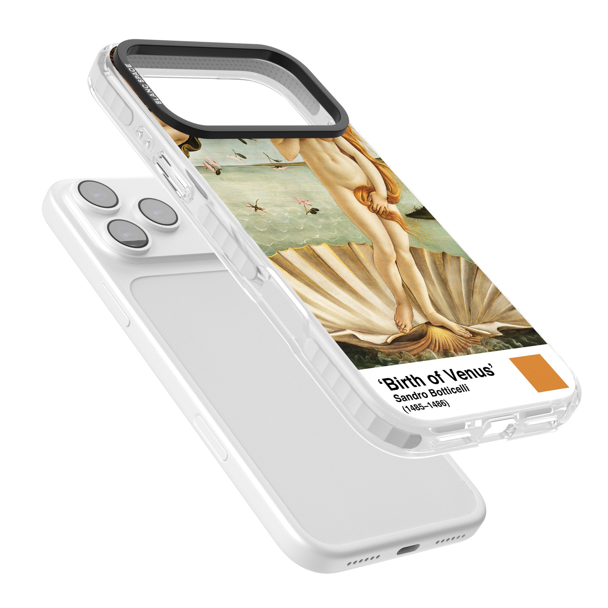 The Birth Of Venus iPhone 17 Pro Max Impact Pro Clear Phone Case Colours