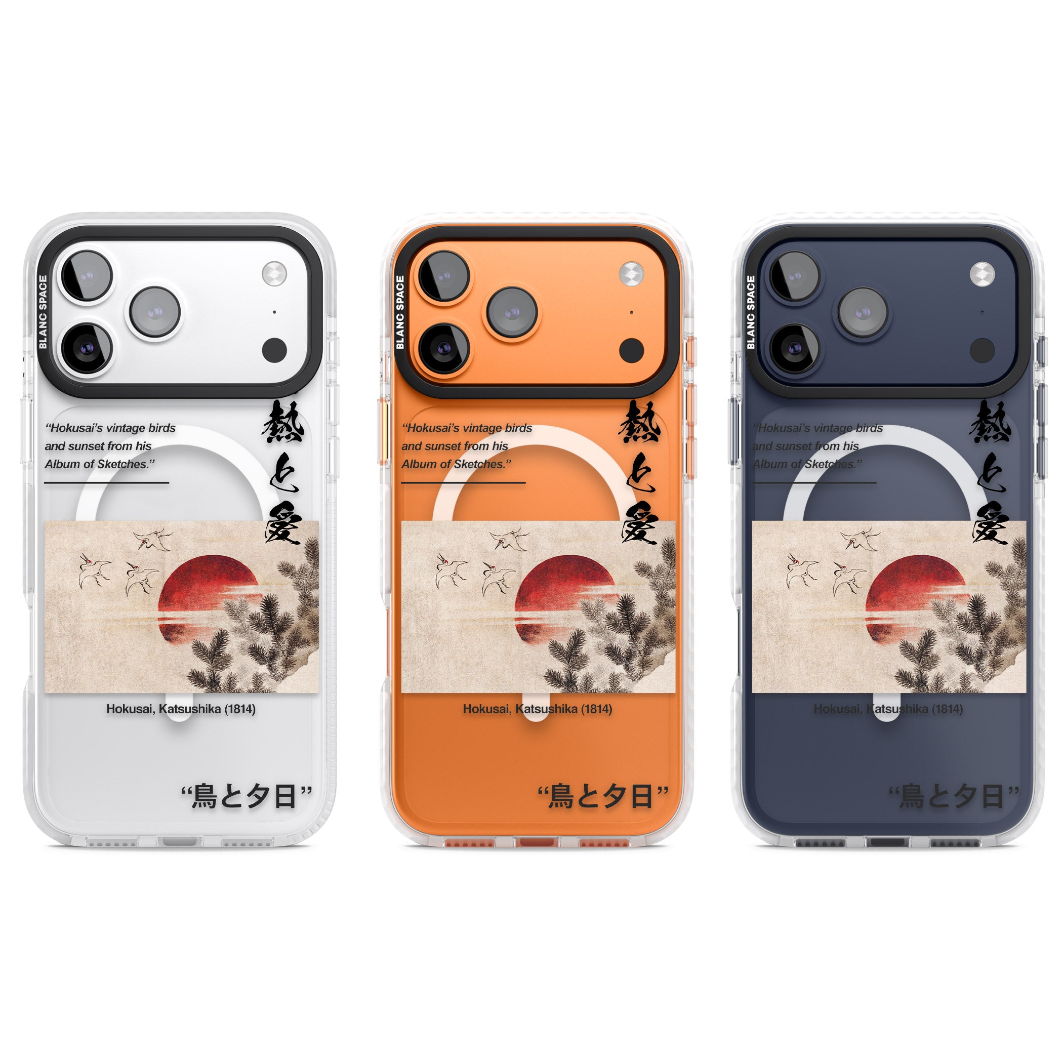 Birds And Sunset iPhone 17 Pro Impact Pro Clear Phone Case APT Impact Protection