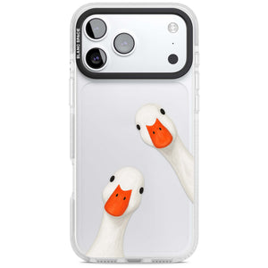 Nosy Ducks