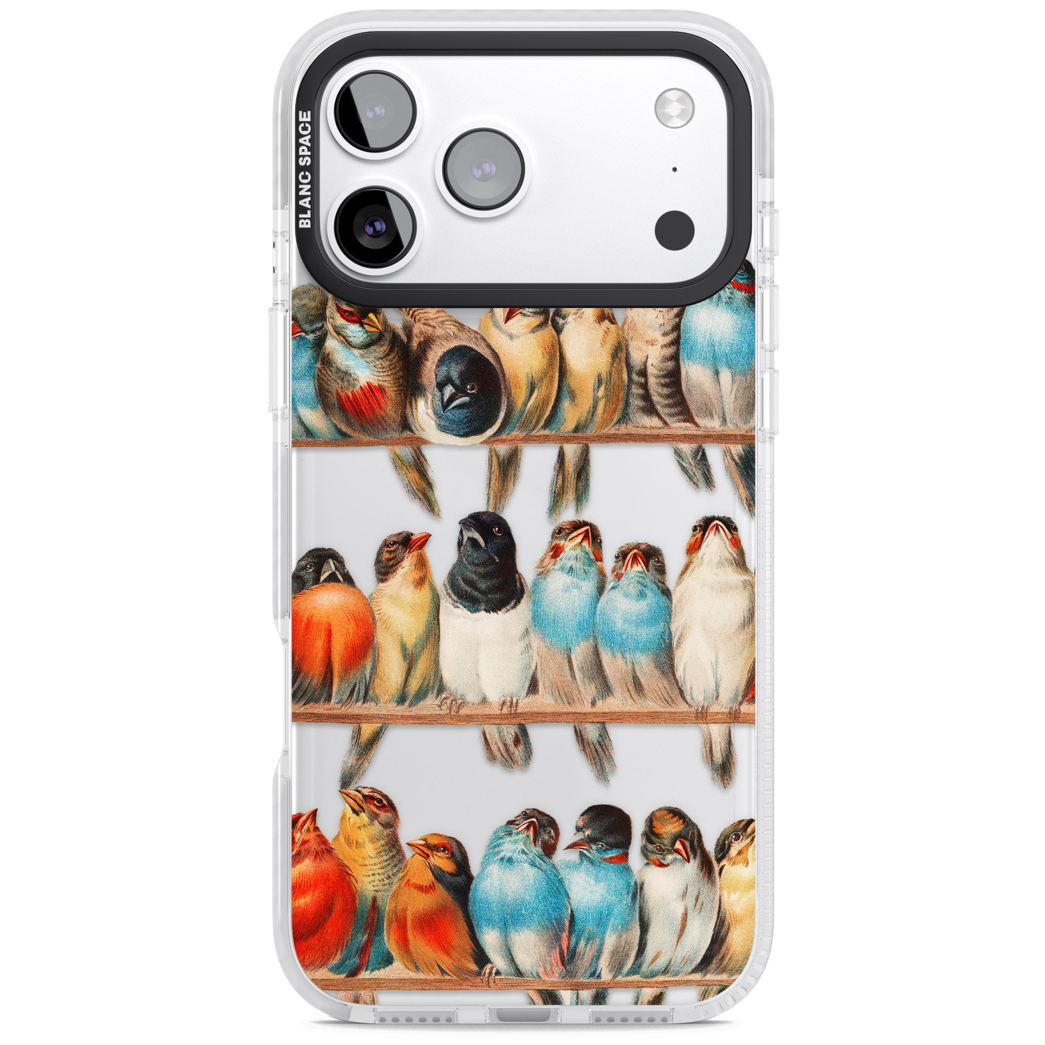 A Perch Of Birds iPhone 17 Pro Max Impact Clear Phone Case