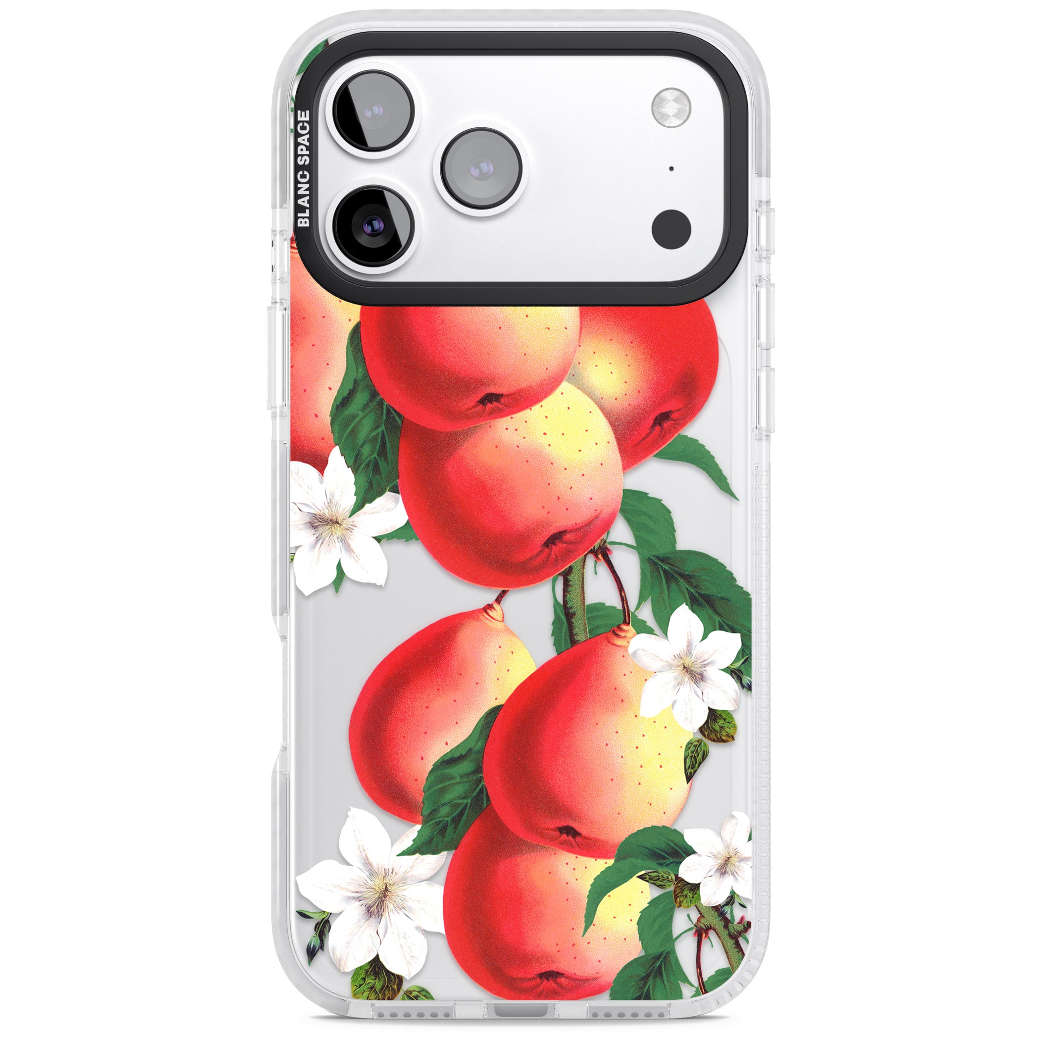 Vintage Painted Peaches iPhone 17 Pro Max Impact Clear Phone Case