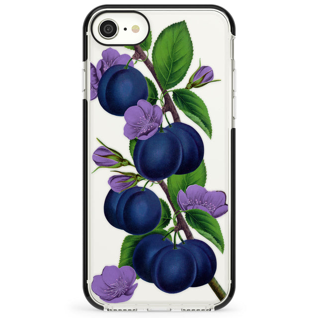 Vintage Painted Plums Impact Phone Case for iPhone SE