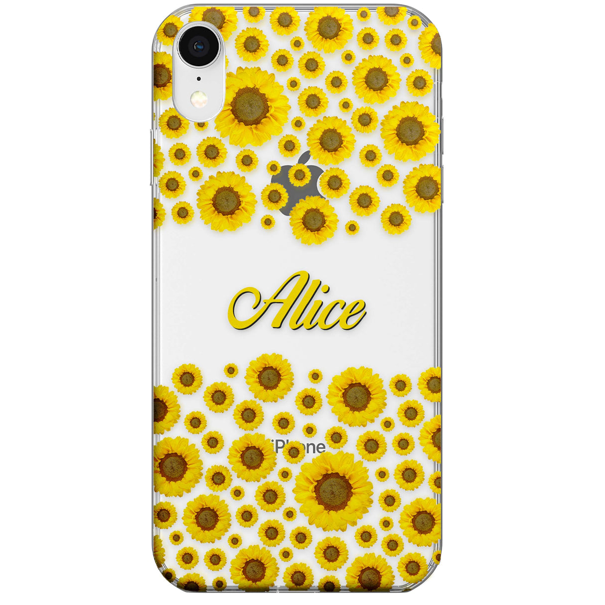 CLEAR CASE