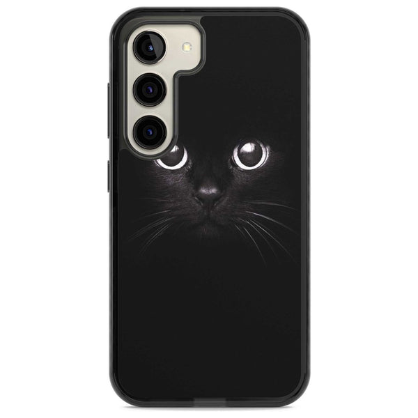 Black Cat