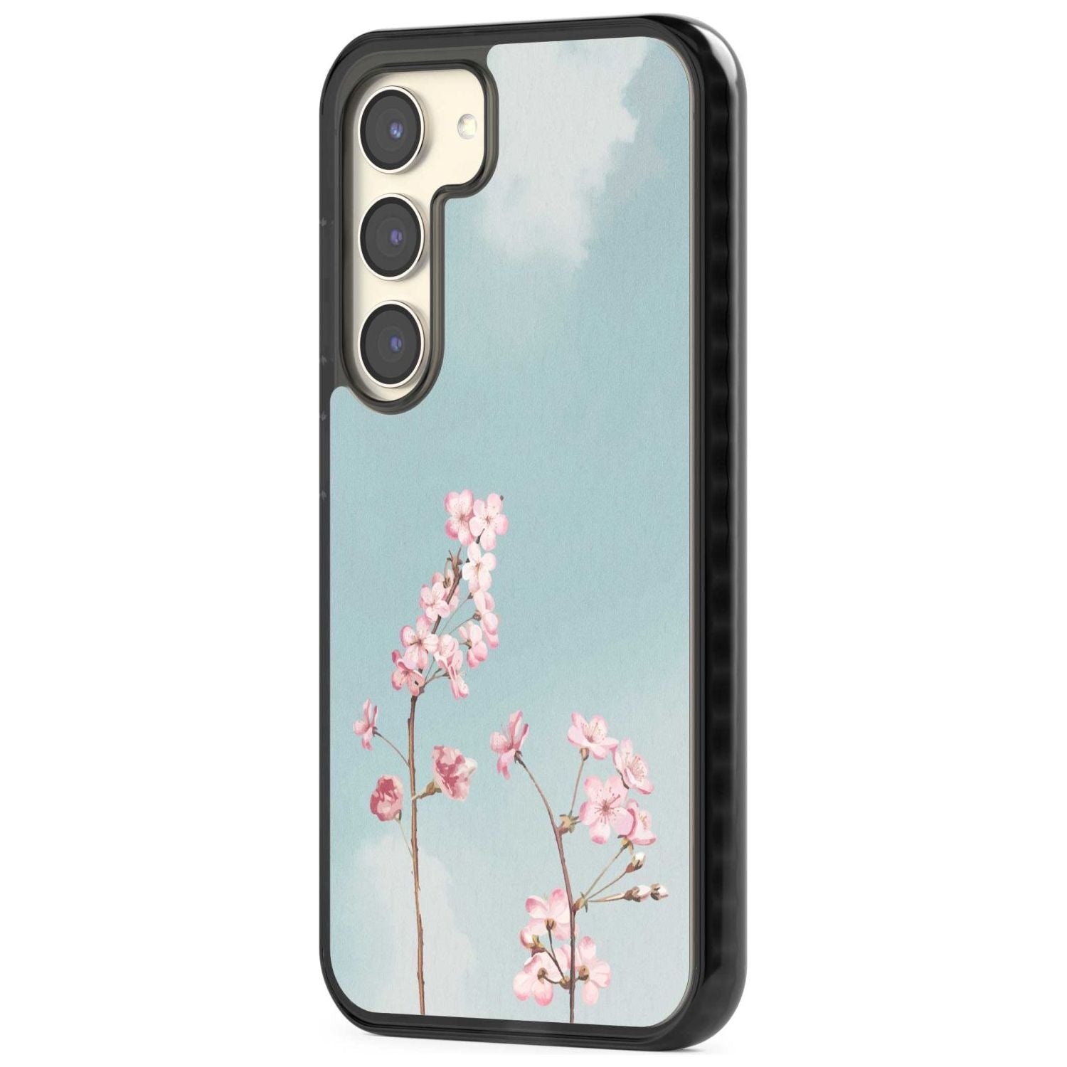 Blossom Flower Sky