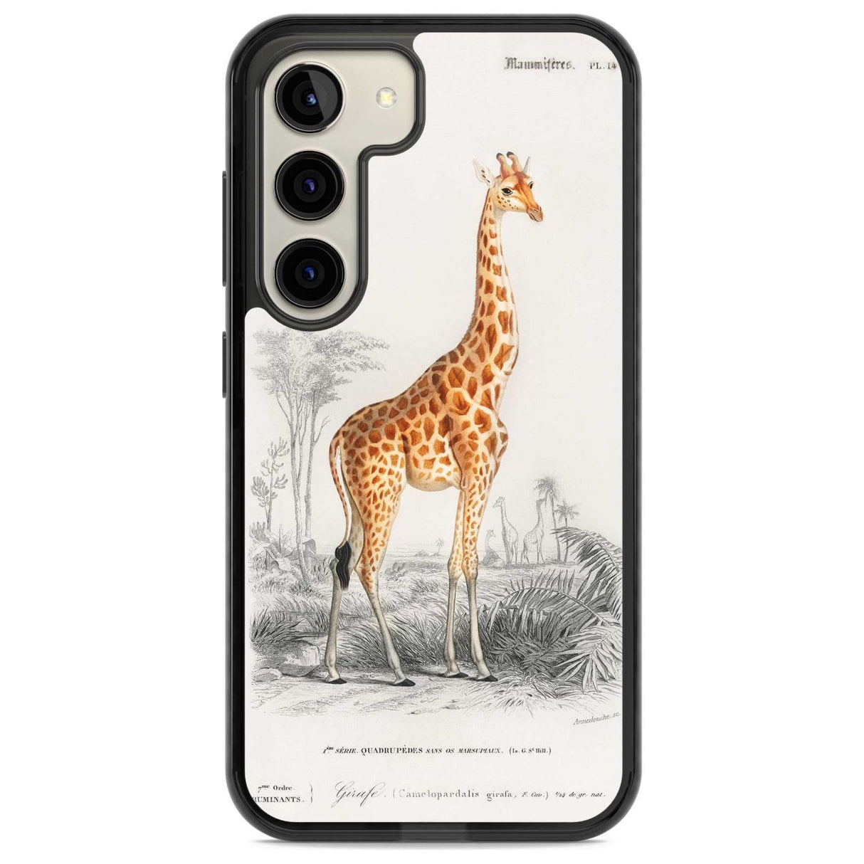 Vintage Girafe Art