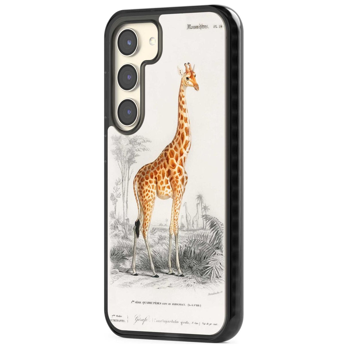 Vintage Girafe Art