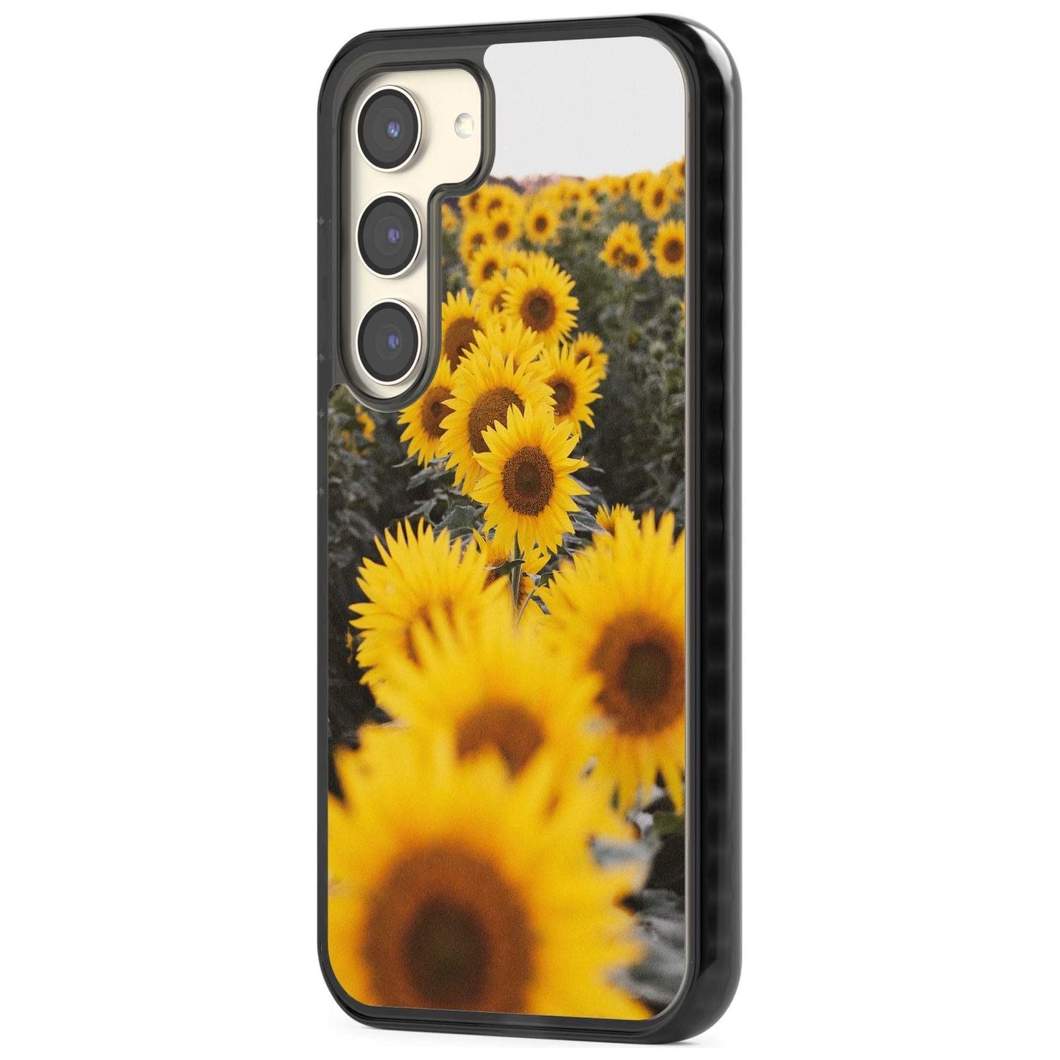 Sunflower Field