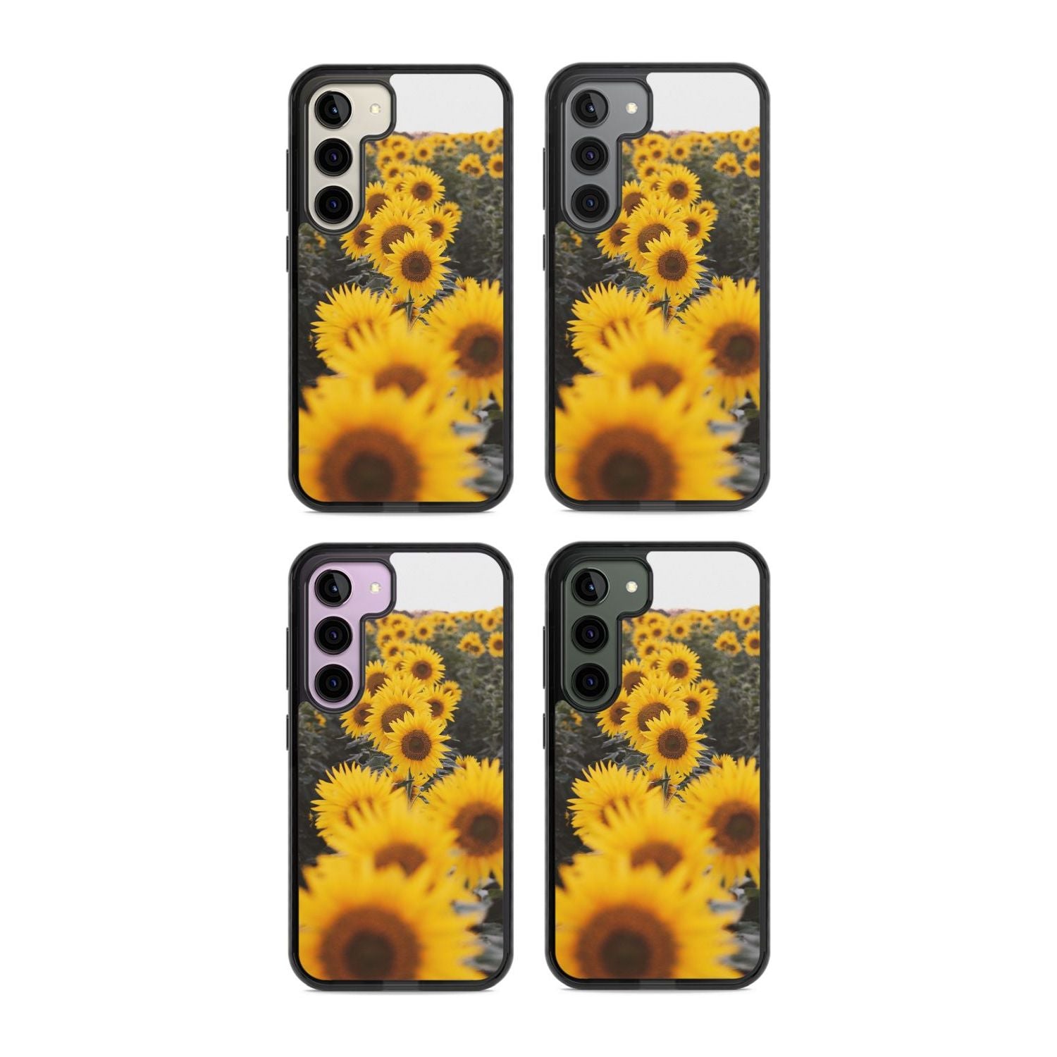 Sunflower Field