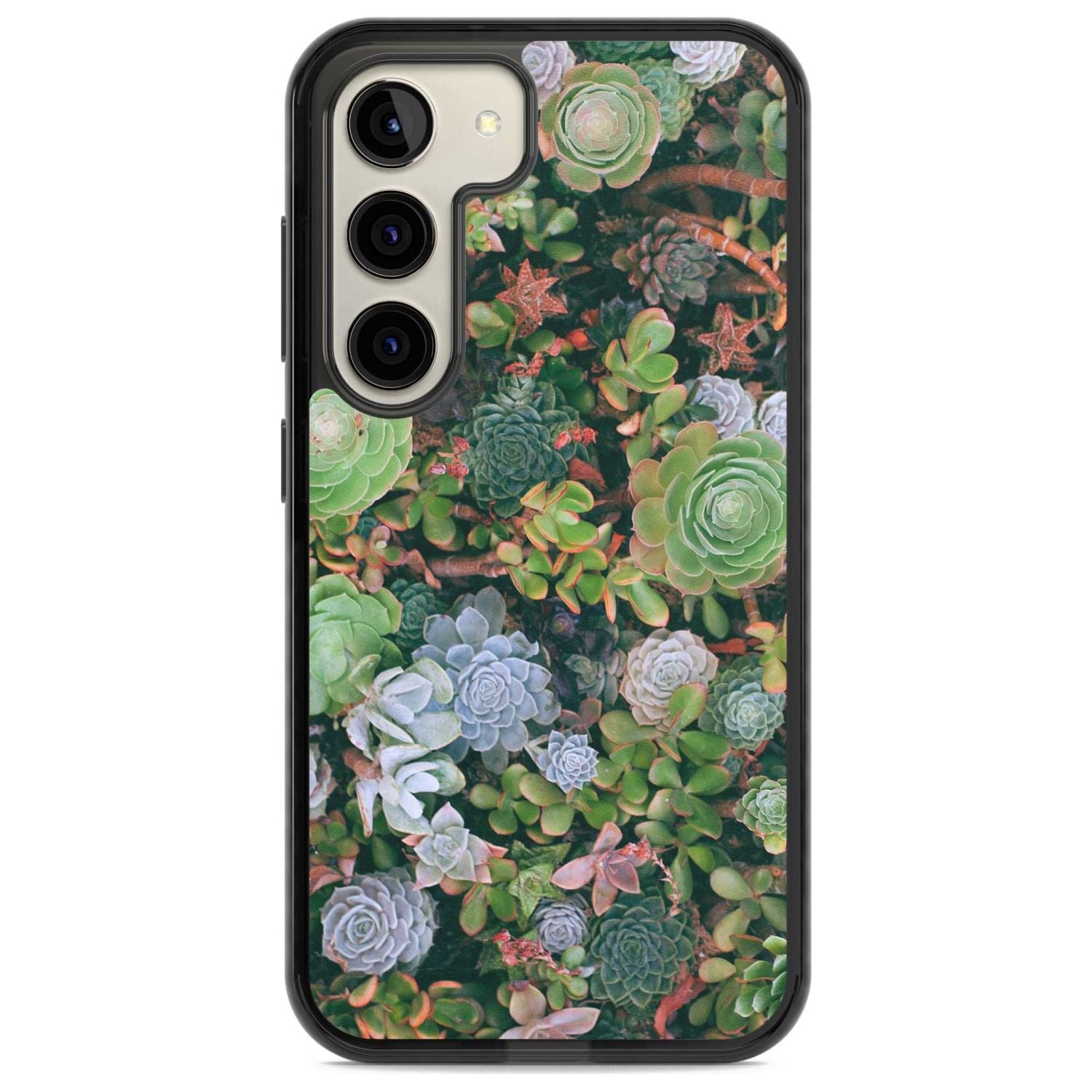 Colourful Succulents Phone Case Samsung S22 / Black Impact Case,Samsung S23 / Black Impact Case Blanc Space