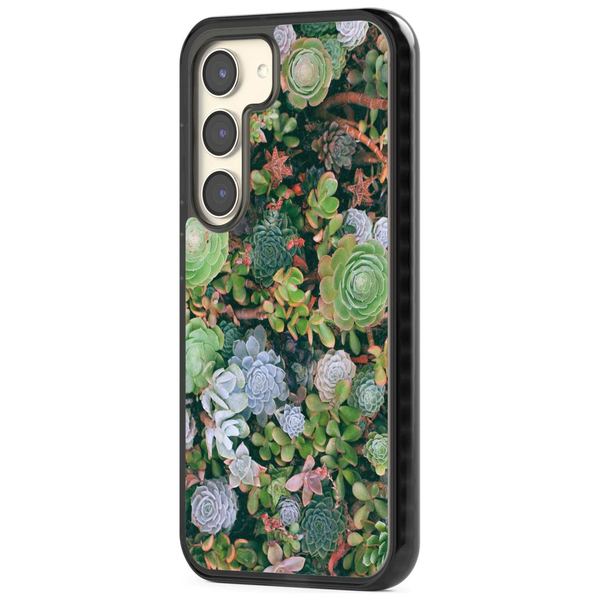 Colourful Succulents Phone Case iPhone 15 Pro Max / Black Impact Case,iPhone 15 Plus / Black Impact Case,iPhone 15 Pro / Black Impact Case,iPhone 15 / Black Impact Case,iPhone 15 Pro Max / Impact Case,iPhone 15 Plus / Impact Case,iPhone 15 Pro / Impact Case,iPhone 15 / Impact Case,iPhone 15 Pro Max / Magsafe Black Impact Case,iPhone 15 Plus / Magsafe Black Impact Case,iPhone 15 Pro / Magsafe Black Impact Case,iPhone 15 / Magsafe Black Impact Case,iPhone 14 Pro Max / Black Impact Case,iPhone 14 Plus / Black 