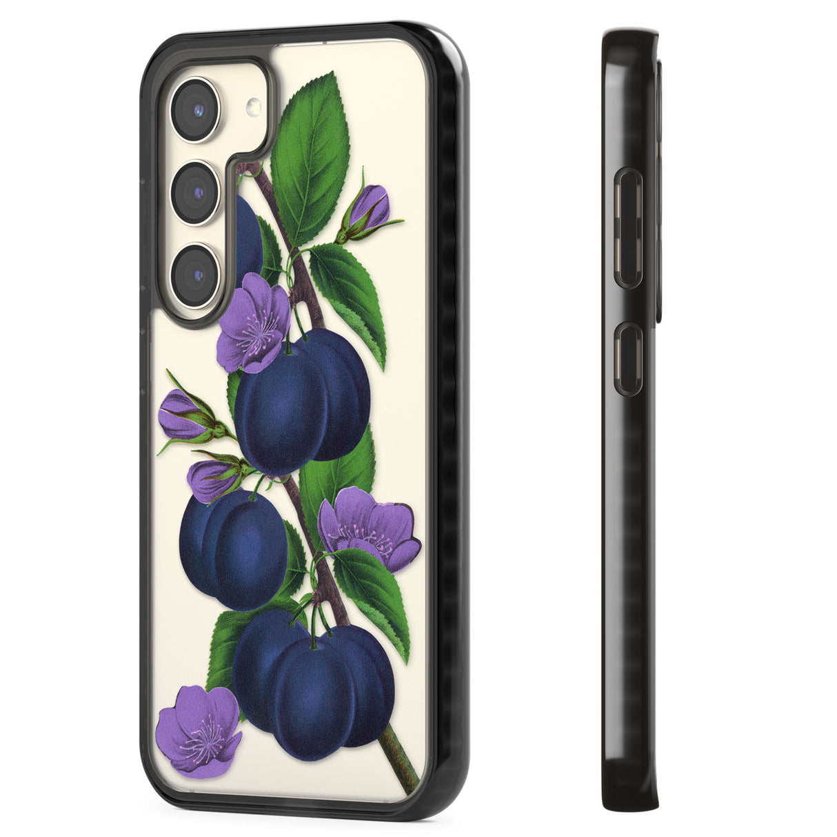 Vintage Painted Plums Impact Phone Case for Samsung Galaxy S24, Samsung Galaxy S23, Samsung Galaxy S22