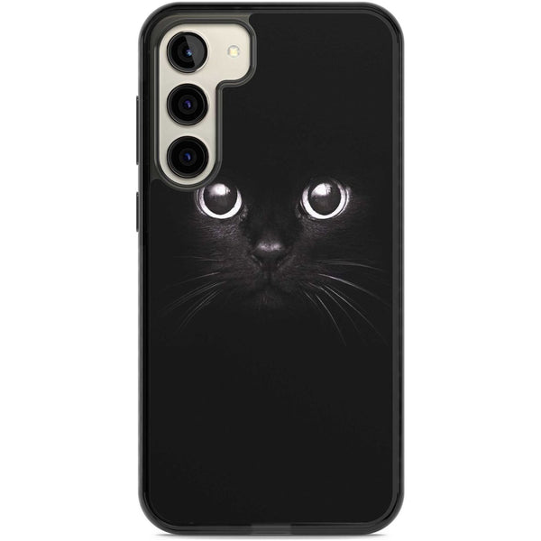 Black Cat