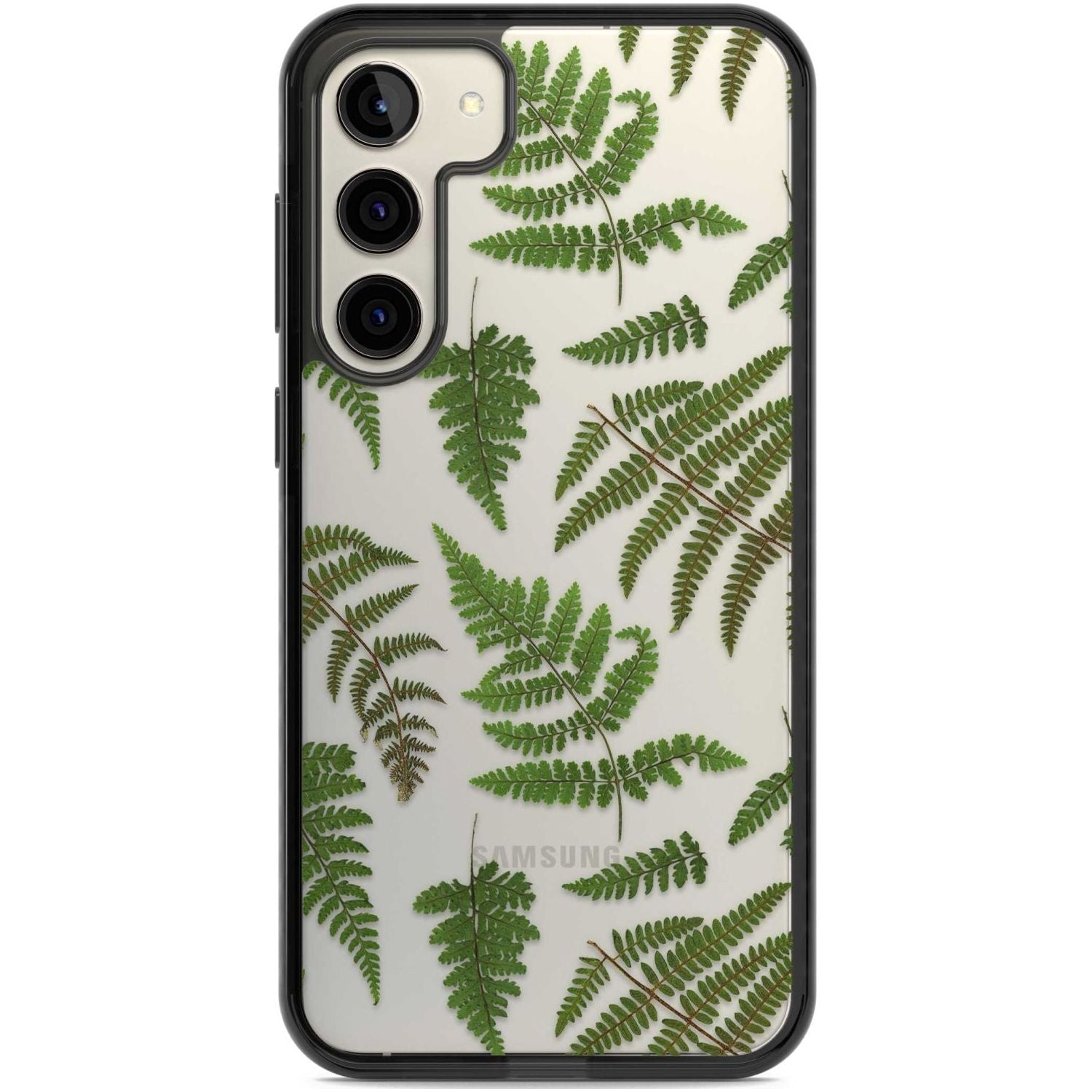 Leafy Ferns