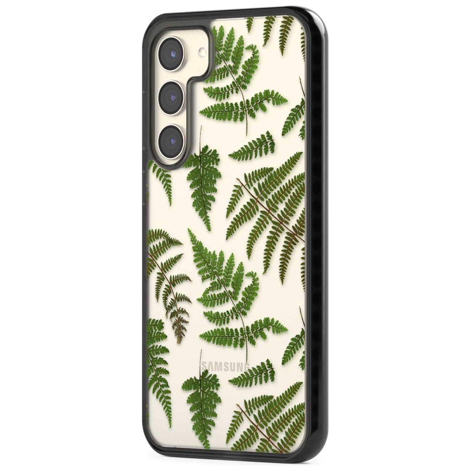 Leafy Ferns