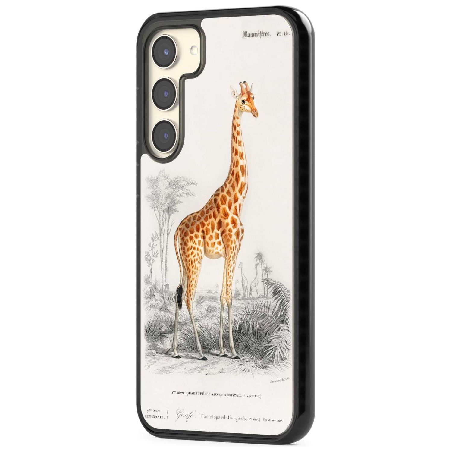 Vintage Giraffe Art