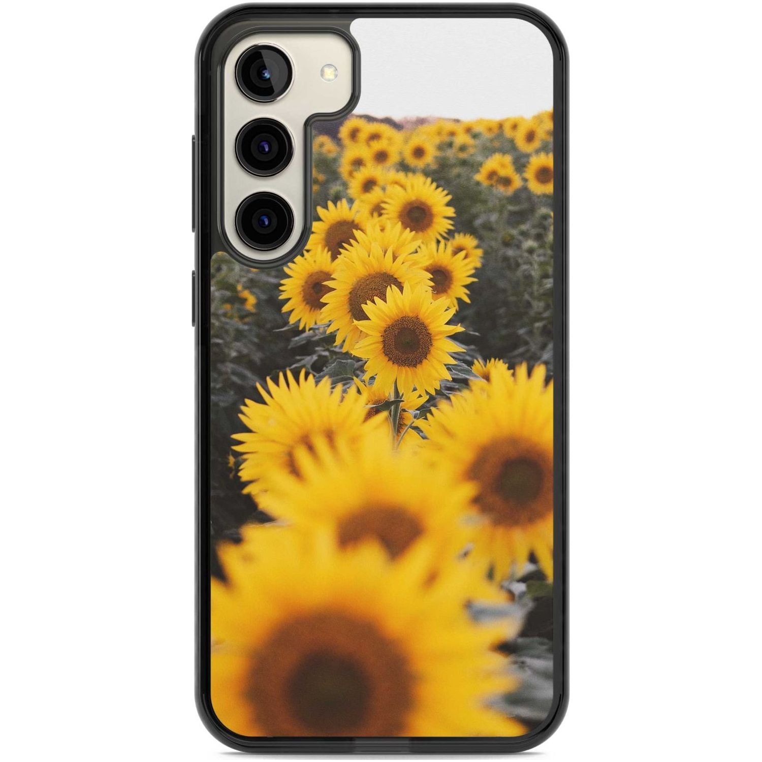Sunflower Field