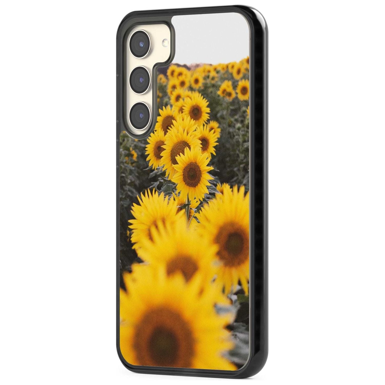 Sunflower Field