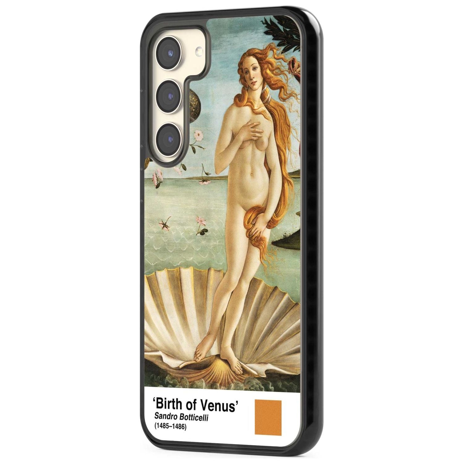 The Birth Of Venus