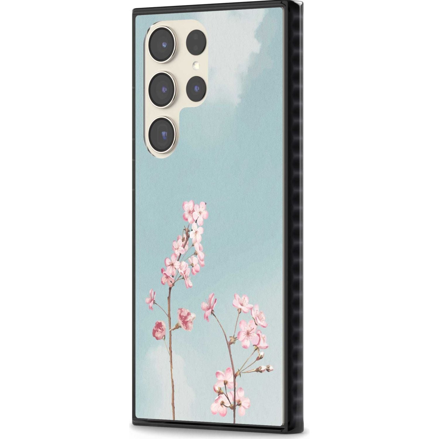 Blossom Flower Sky