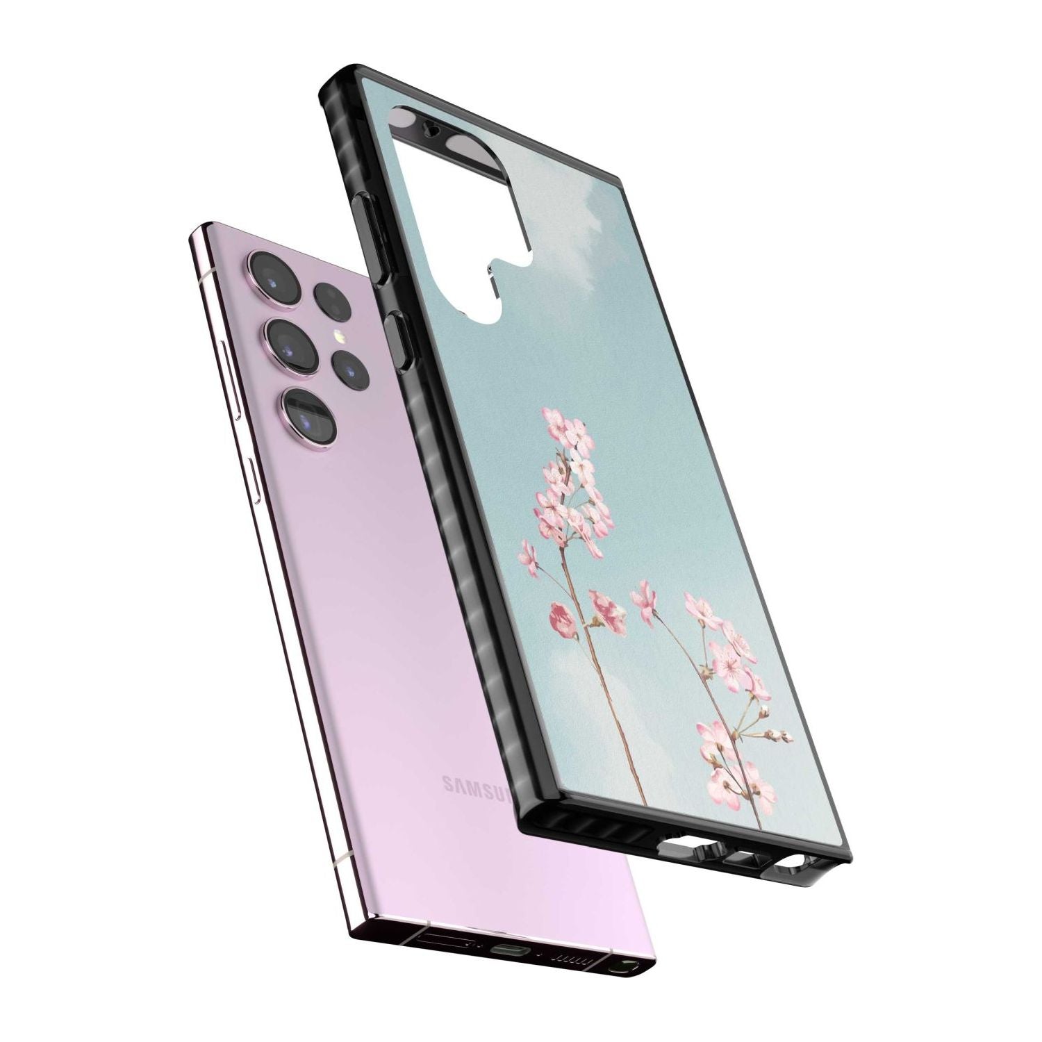 Blossom Flower Sky