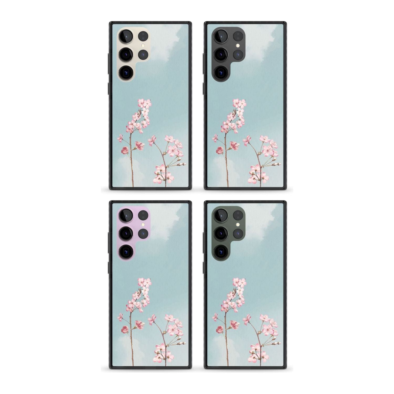 Blossom Flower Sky
