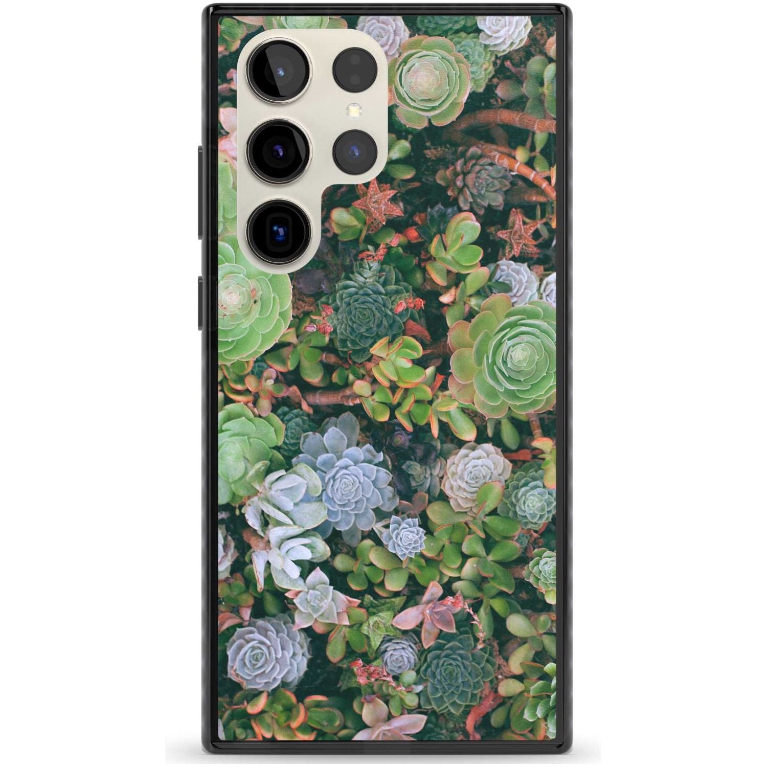 Colourful Succulents Phone Case Samsung S22 Ultra / Black Impact Case,Samsung S23 Ultra / Black Impact Case Blanc Space