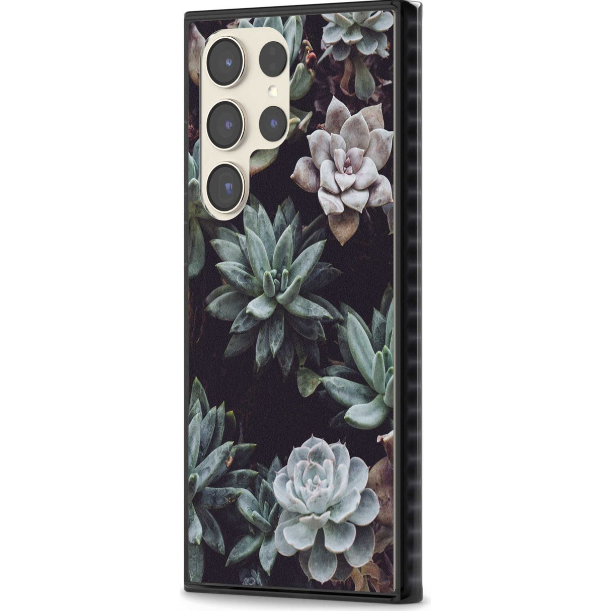 Mixed Succulents - Real Botanical Photographs Phone Case iPhone 15 Pro Max / Black Impact Case,iPhone 15 Plus / Black Impact Case,iPhone 15 Pro / Black Impact Case,iPhone 15 / Black Impact Case,iPhone 15 Pro Max / Impact Case,iPhone 15 Plus / Impact Case,iPhone 15 Pro / Impact Case,iPhone 15 / Impact Case,iPhone 15 Pro Max / Magsafe Black Impact Case,iPhone 15 Plus / Magsafe Black Impact Case,iPhone 15 Pro / Magsafe Black Impact Case,iPhone 15 / Magsafe Black Impact Case,iPhone 14 Pro Max / Black Impact Cas