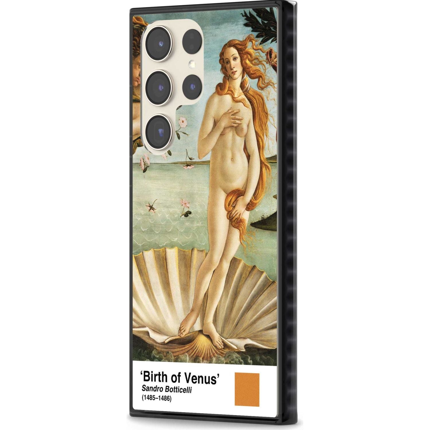 The Birth Of Venus