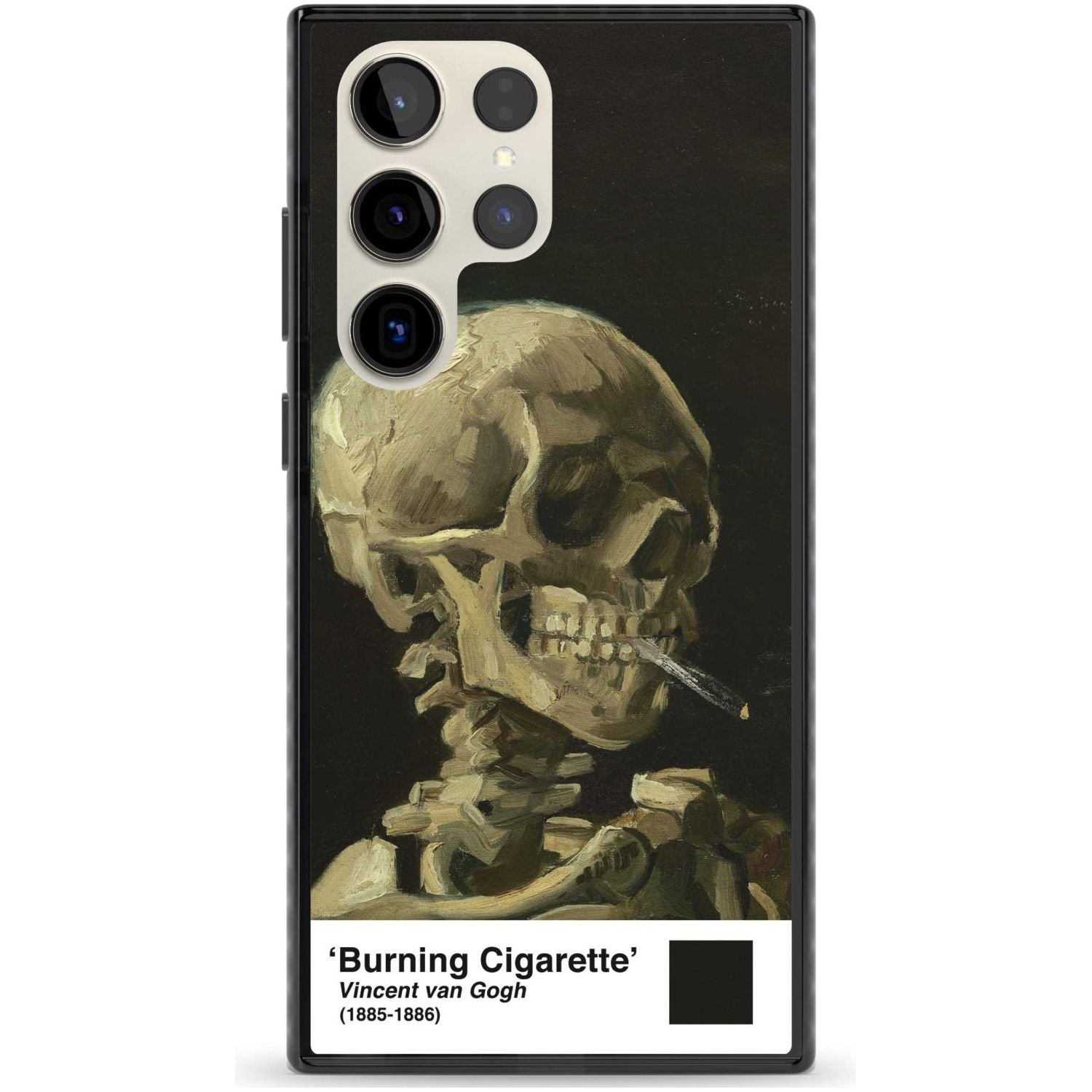 Skull of a Skeleton with Burning Cigarette