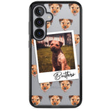 Personalised Border Terrier - Dog Photo