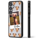 Personalised Border Terrier - Dog Photo