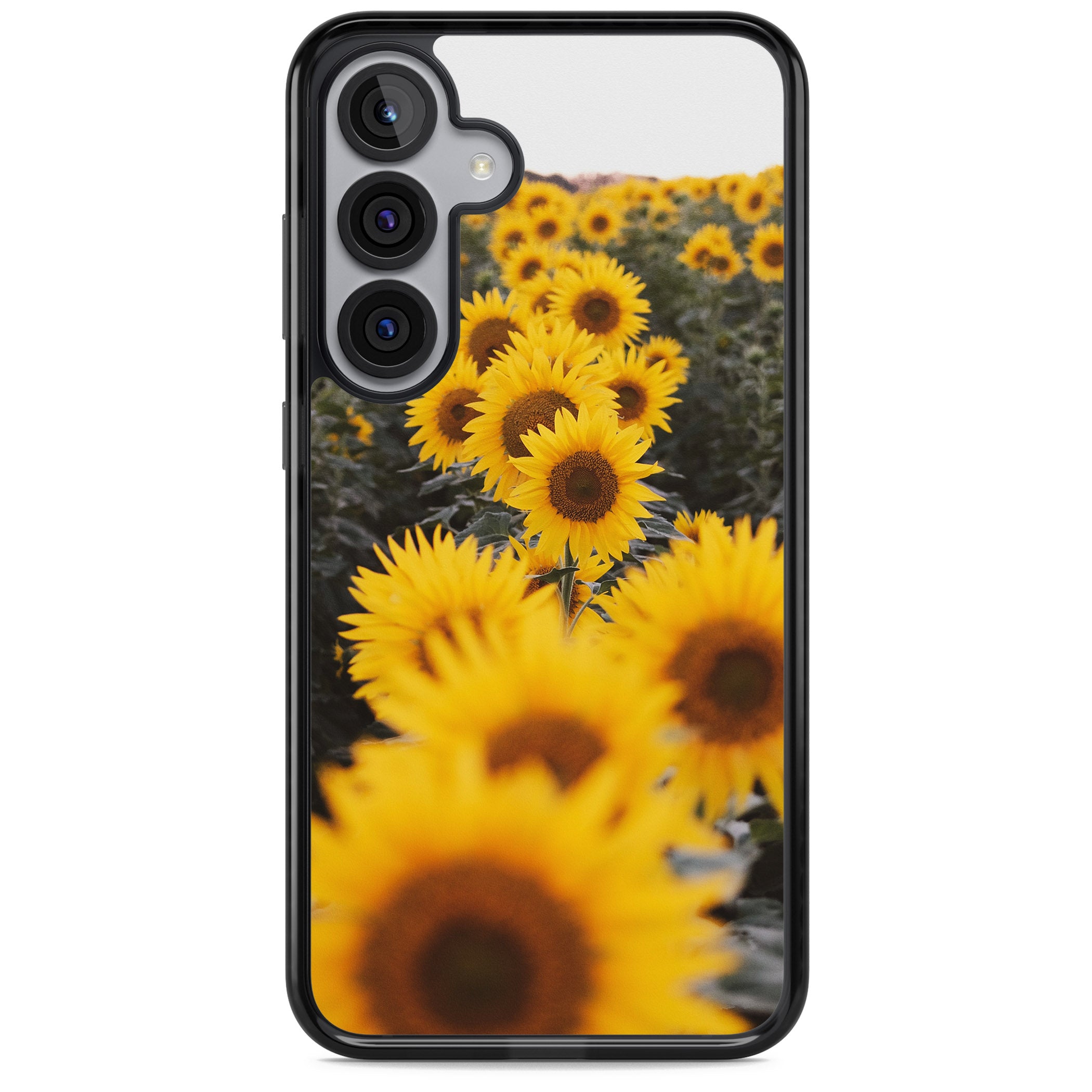 Sunflower Field