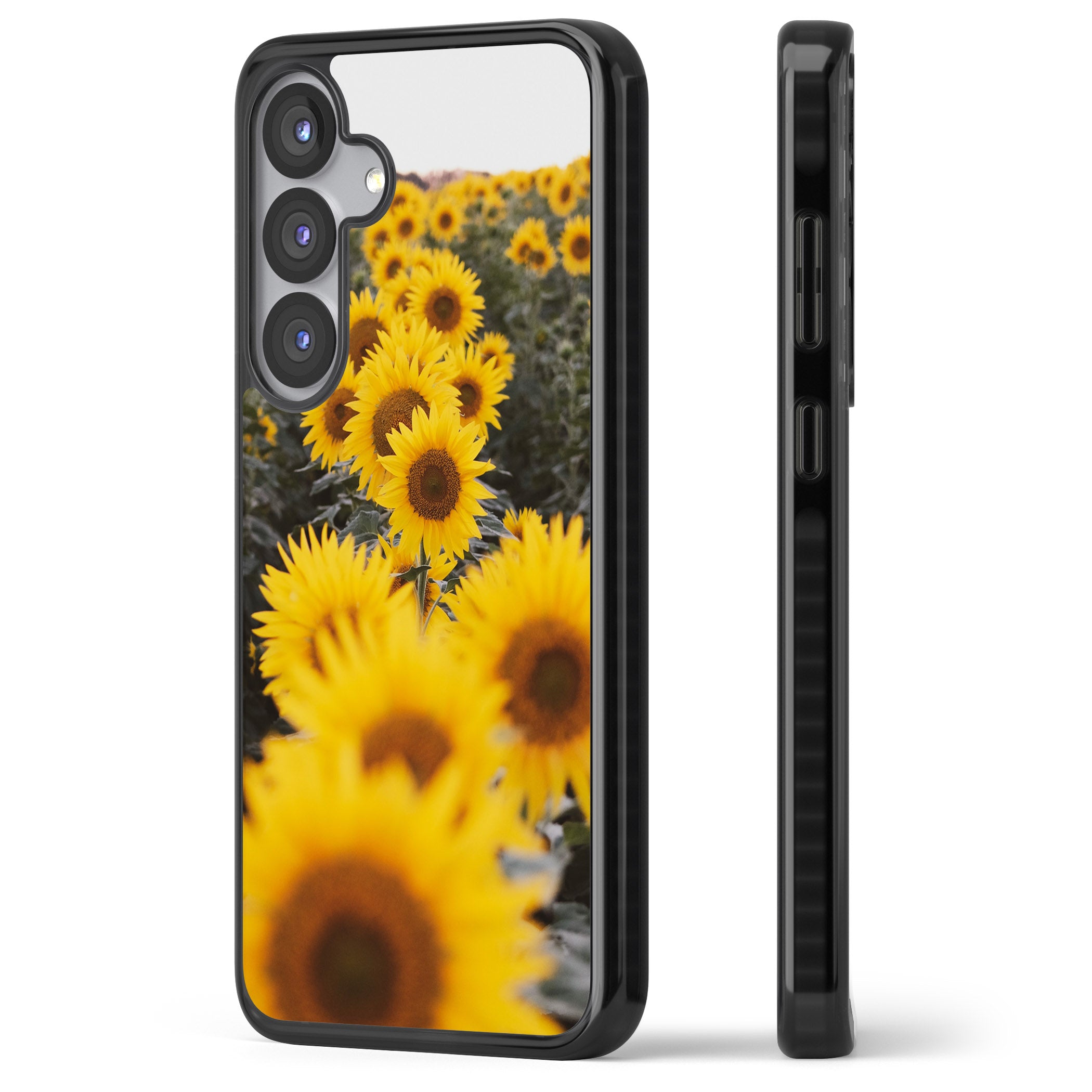 Sunflower Field