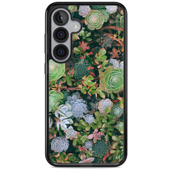 Succulent Garden