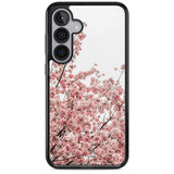 Cherry Blossoms - Real Floral Photographs