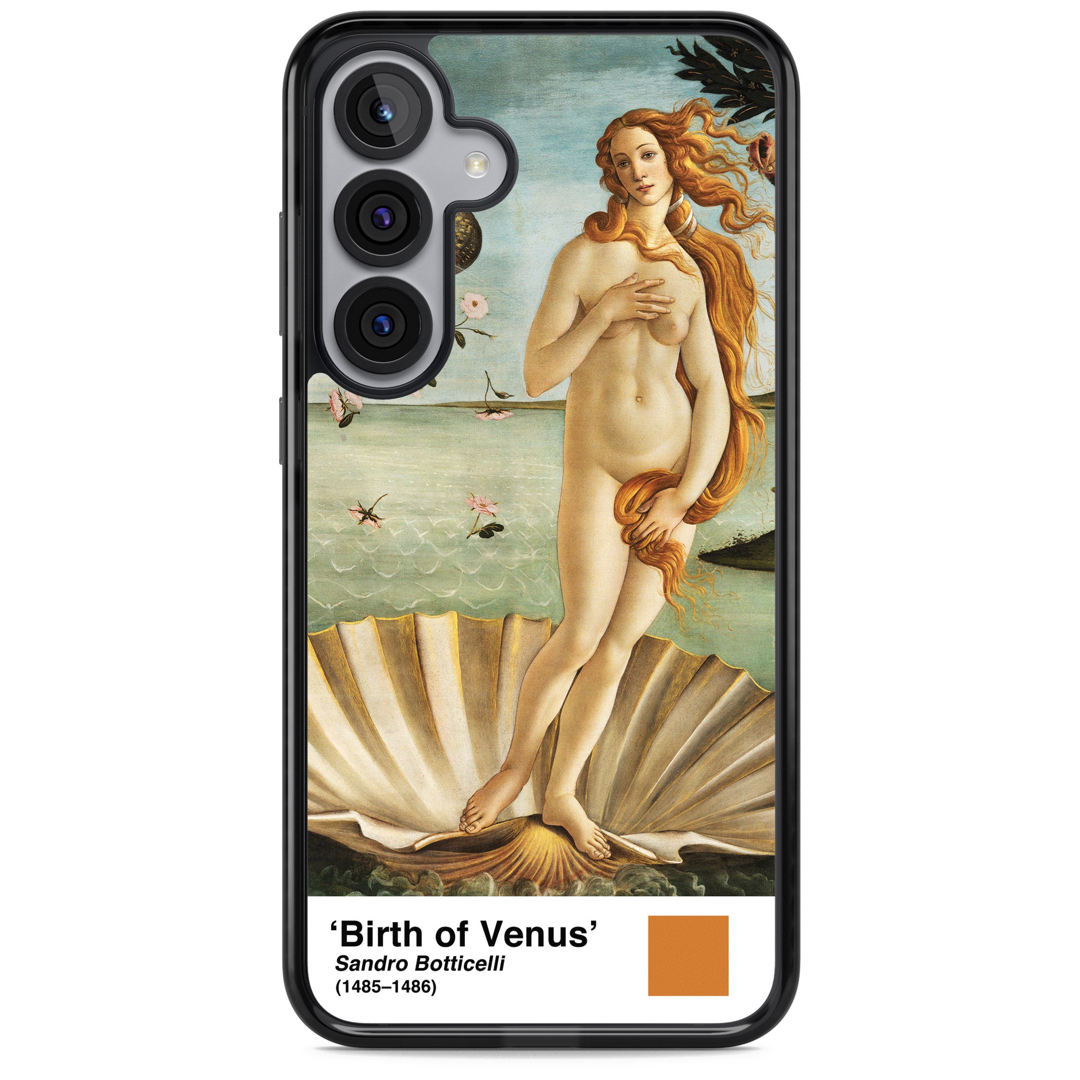 The Birth Of Venus