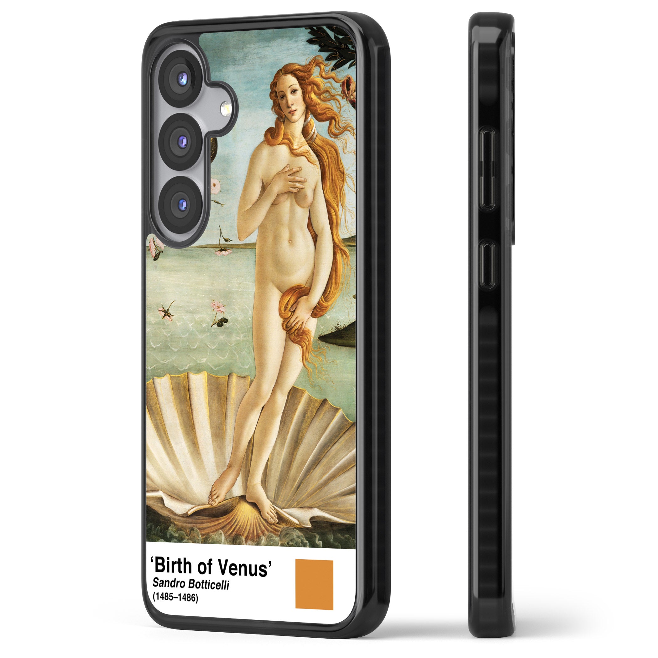 The Birth Of Venus