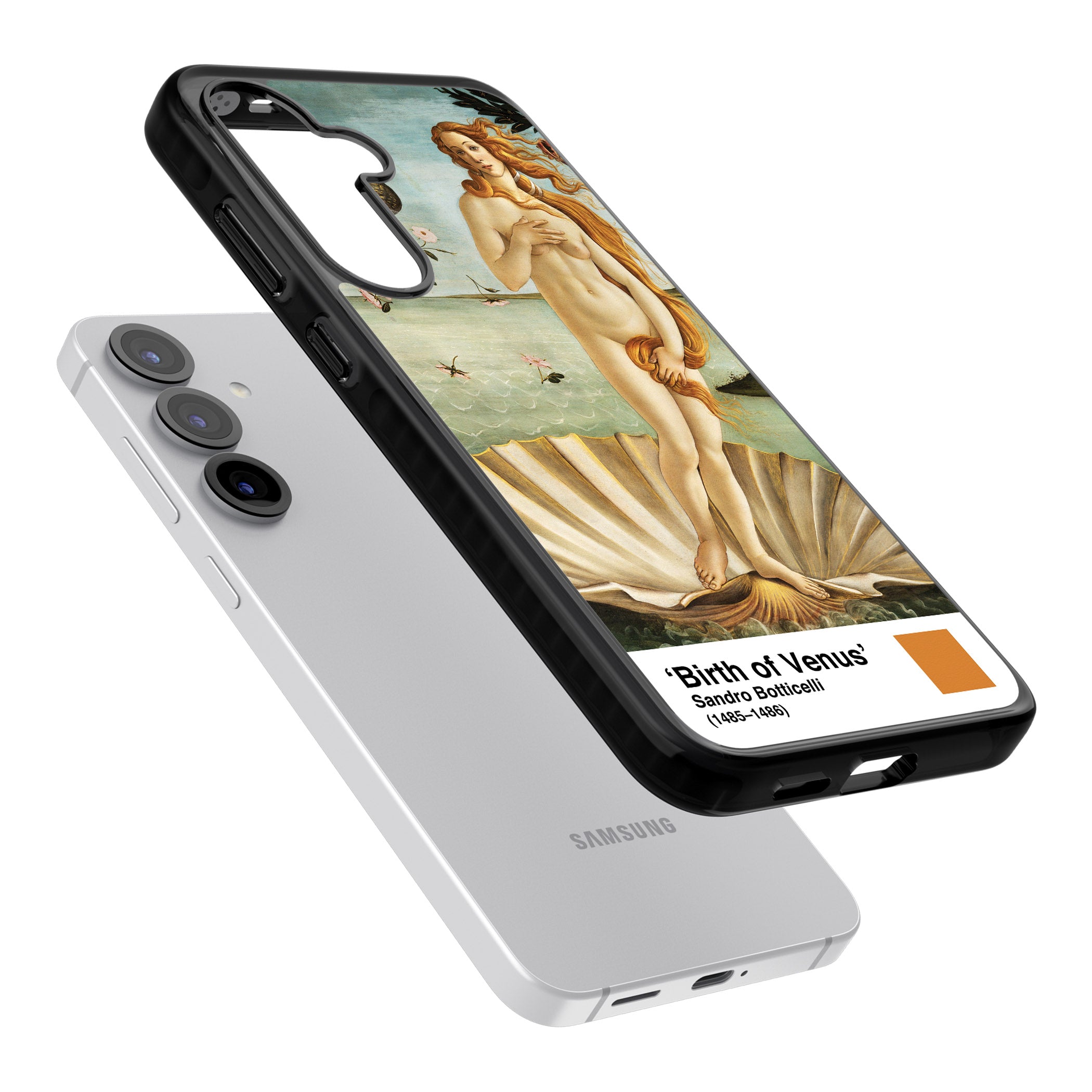 The Birth Of Venus